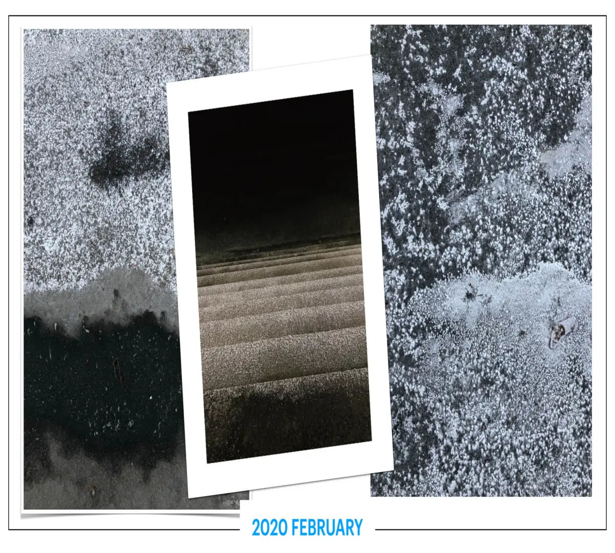 szbarnaus_2020_february