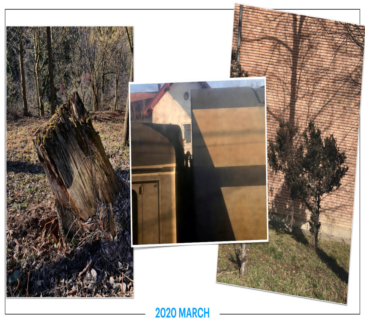 szbarnaus_2020_march