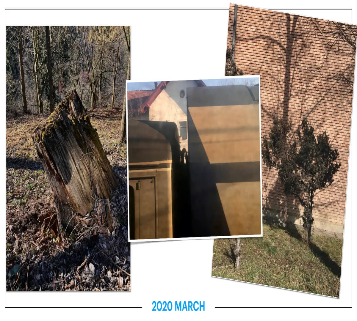 szbarnaus_2020_march