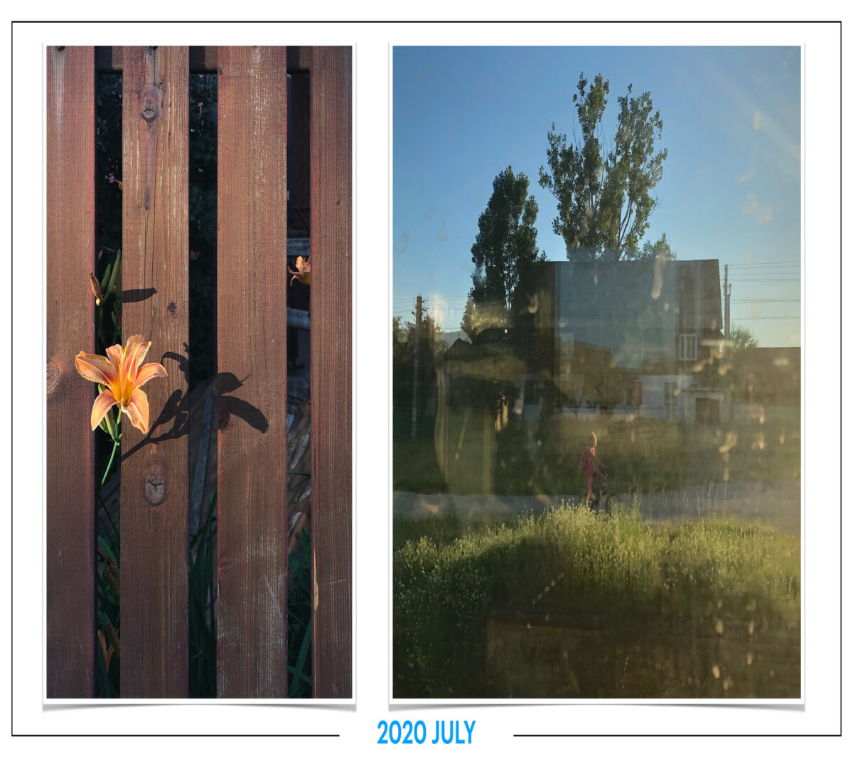 szbarnaus_2020_july
