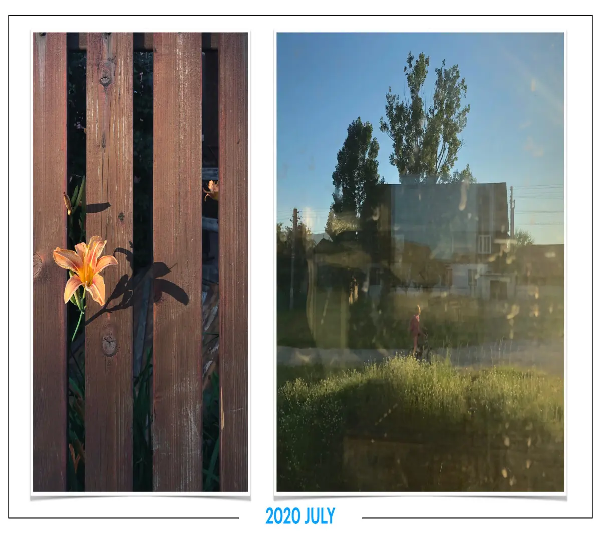 szbarnaus_2020_july