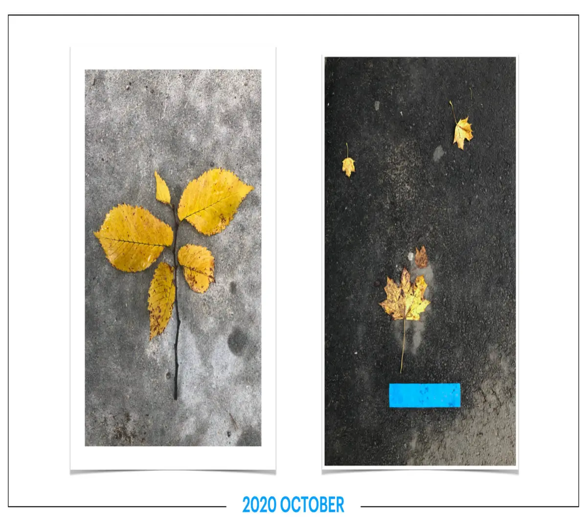 szbarnaus_2020_october