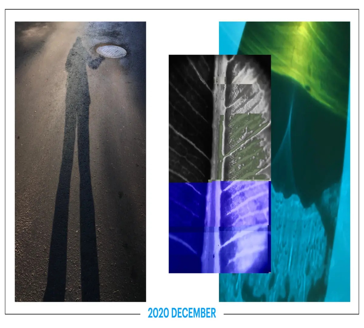 szbarnaus_2020_december