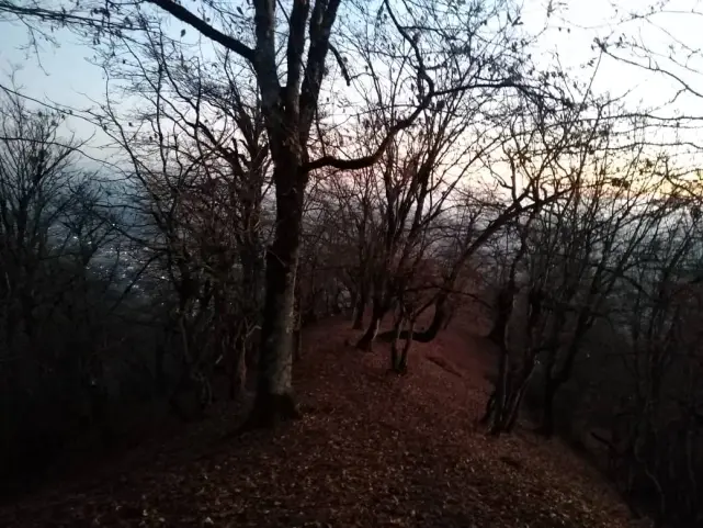 real life story, Story of nature, sunrise