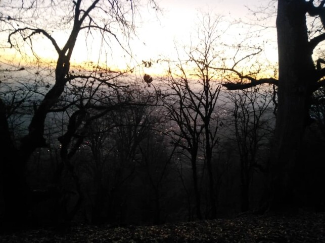 real life story, Story of nature, sunrise