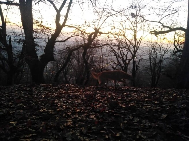real life story, Story of nature, sunrise