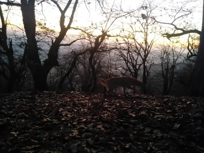 real life story, Story of nature, sunrise