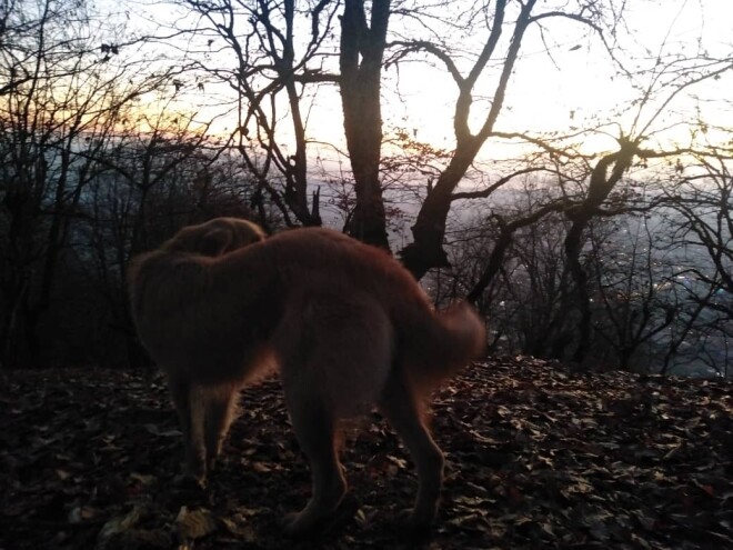 real life story, Story of nature, sunrise