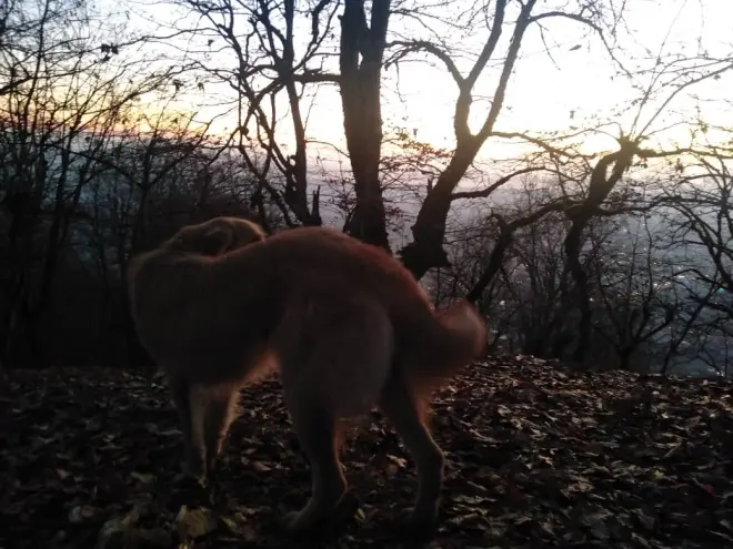 real life story, Story of nature, sunrise