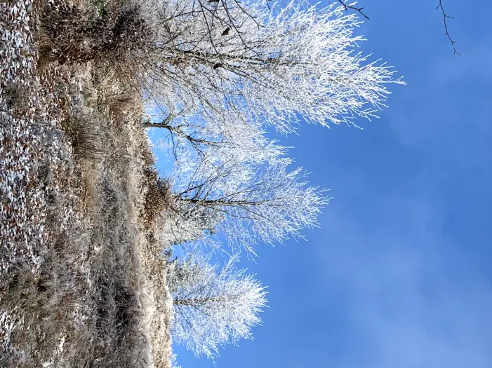 Mogielica, Poland
