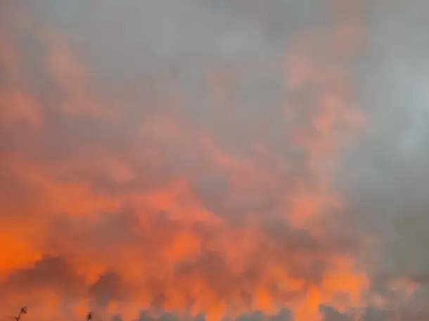 ad0b0d00c6d0994157f38f308d741e8c46cfdf12191a3fc77edb392a30bbe1cc.jpeg