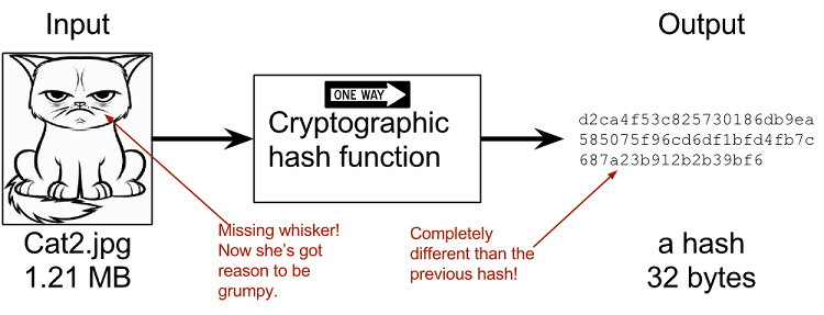 c7713ab2ceedba9fa62fbd5f44ef93dbdd5ee78f4ef6e17a83a039f0e47a11a8.png
