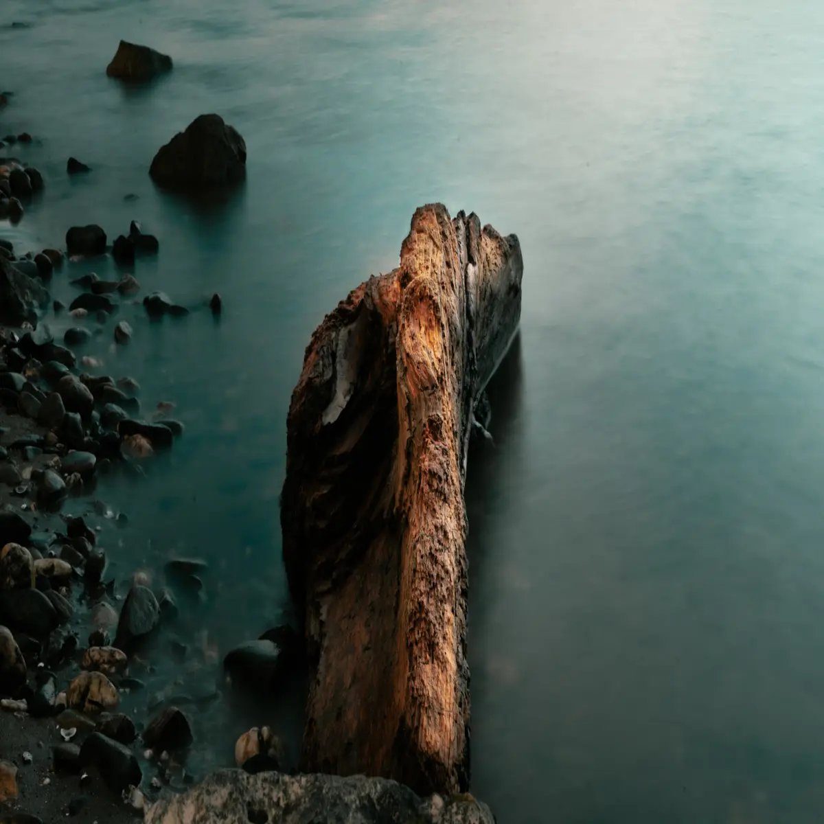 First Longexposure