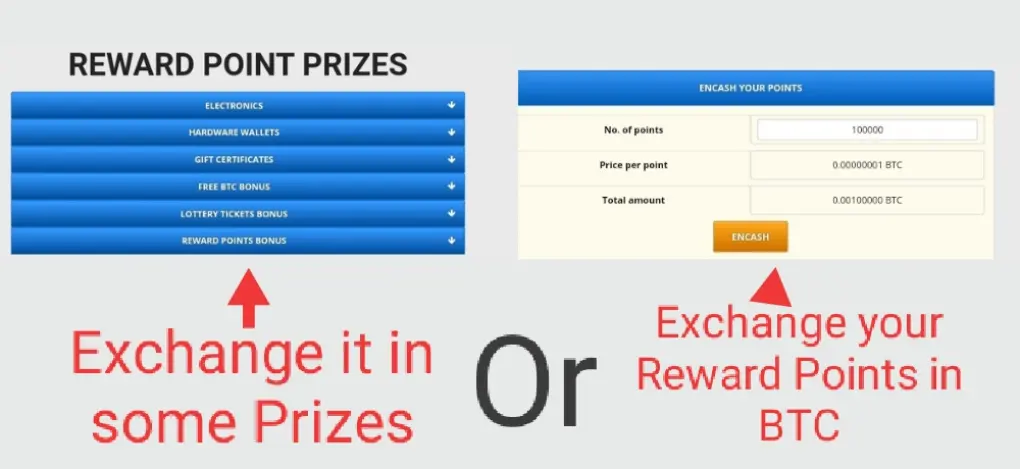 REWARD POINTS
