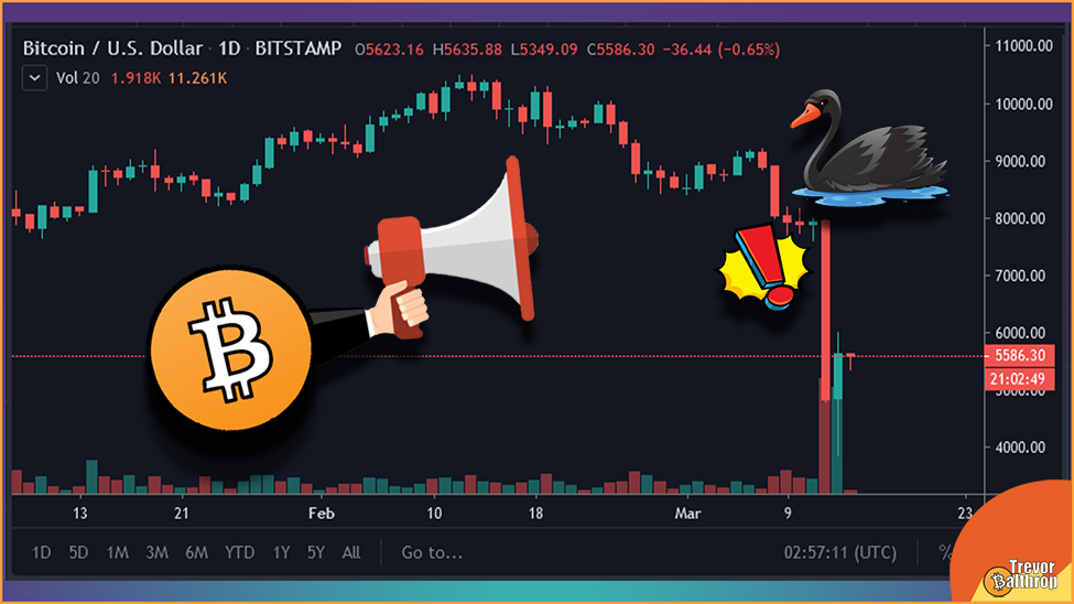 trevor balthrop bitcoin ethereum investor trader cryptocurrency