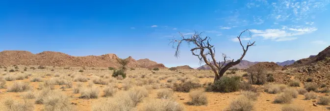 barren landscape