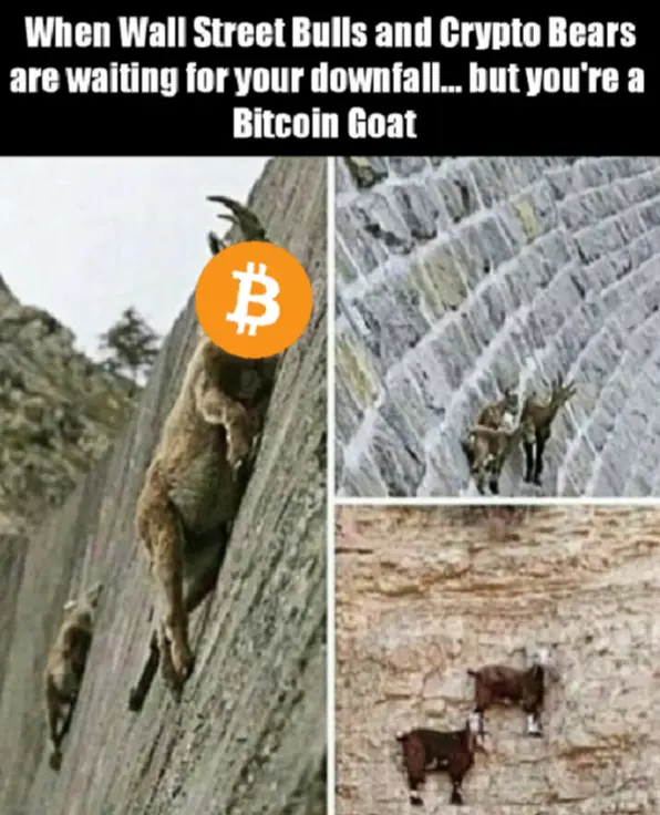 3b776b8de5f3d41ed49d7d460e3ac302d570108bdf1129907ef86fba64f52a0f.png