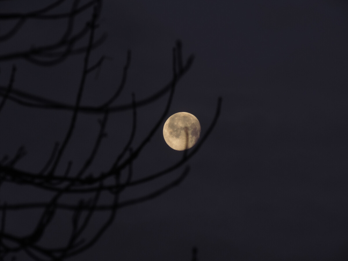 Moon