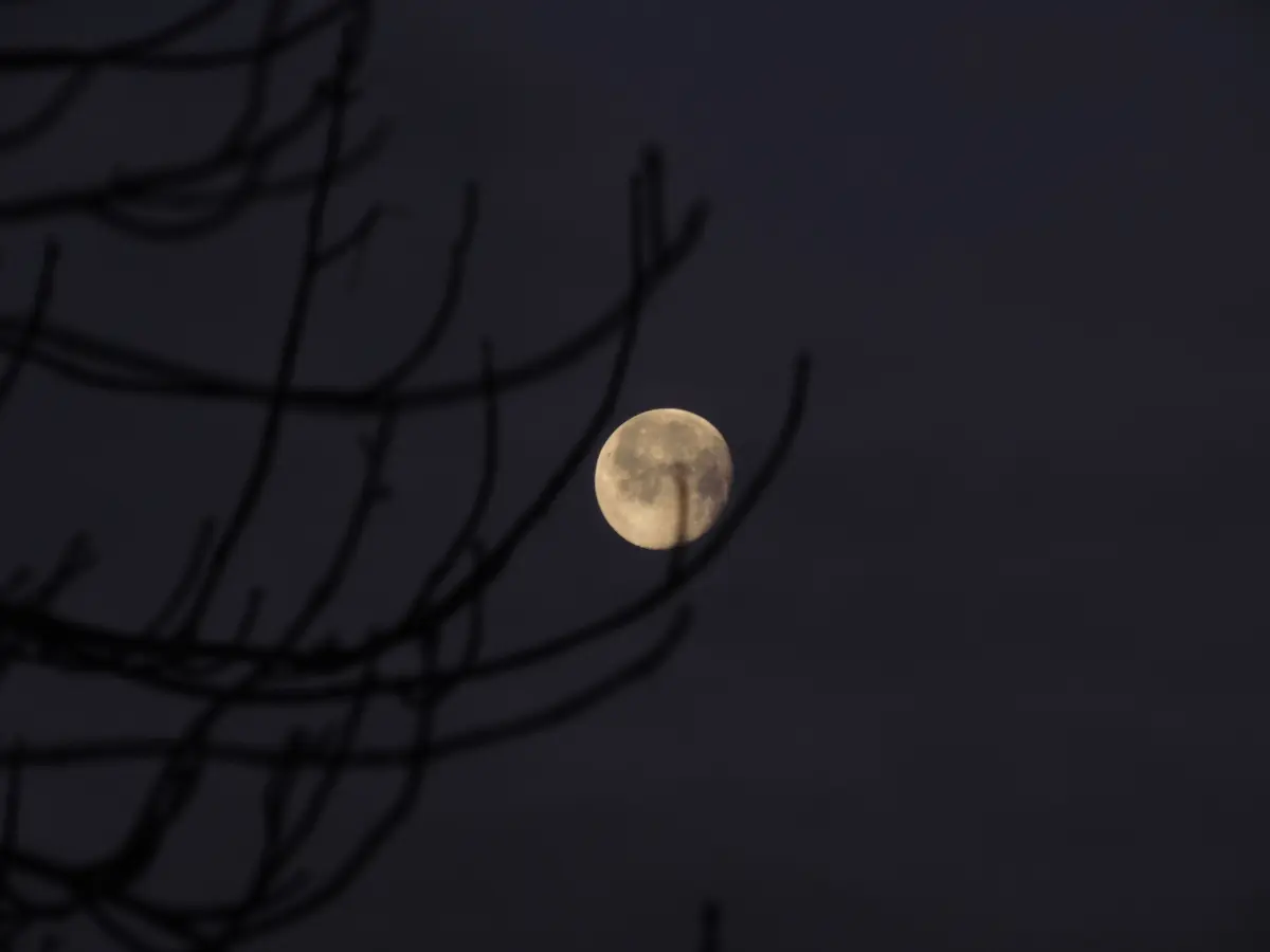 Moon