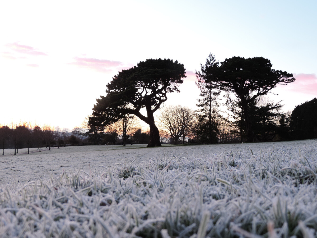 Snow far zoom