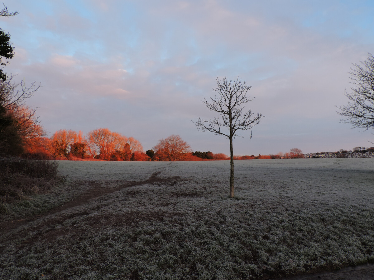 Sunrise