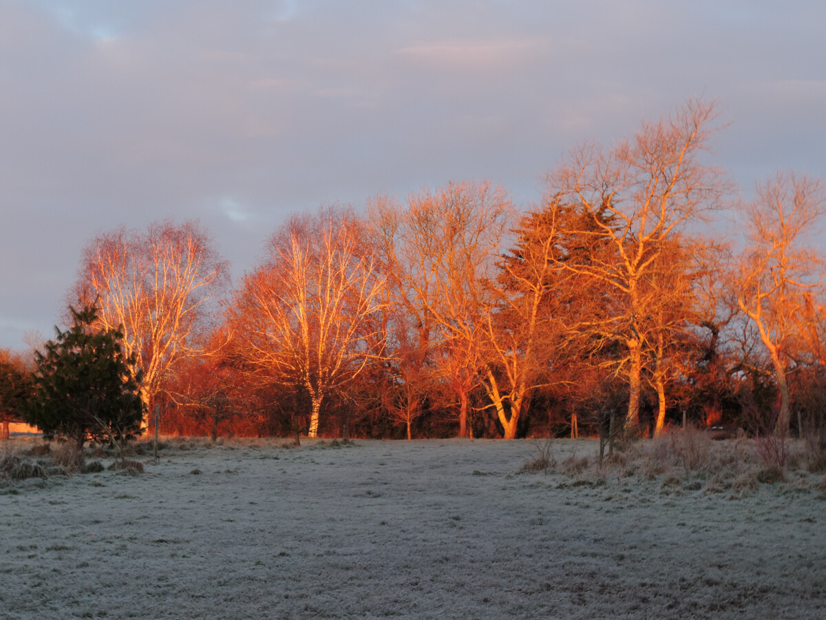 Sunrise 2