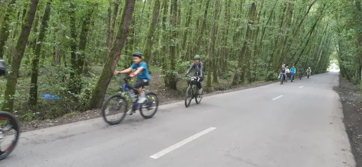 Sport, Cycling, Photography of Nature