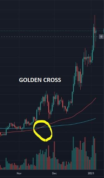 LTC