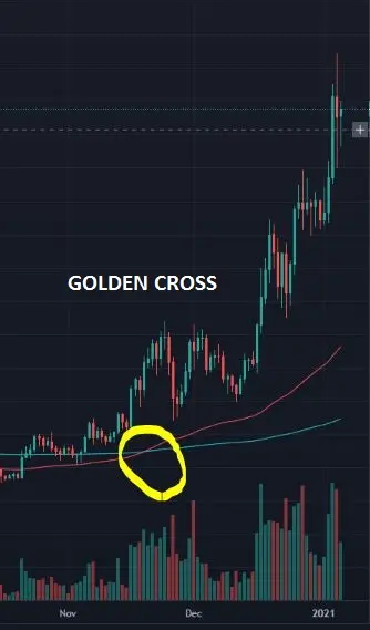 LTC