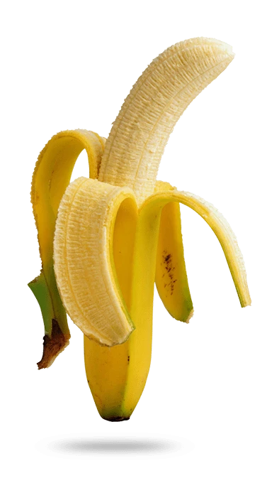 351665157-84279919e4e639eea1e02a2bd44608771b6c0a3e50a0fe4824421ef9fe5f279a.png