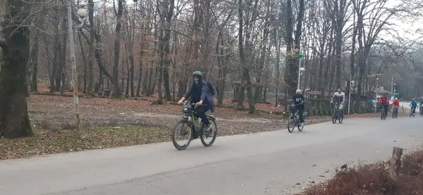 Sport, Cycling, Photography of Nature