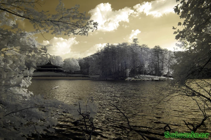 351665157-a93f30eb204e0cc9725deb95f096101485e685d918c35f317cdad7532c030509.png