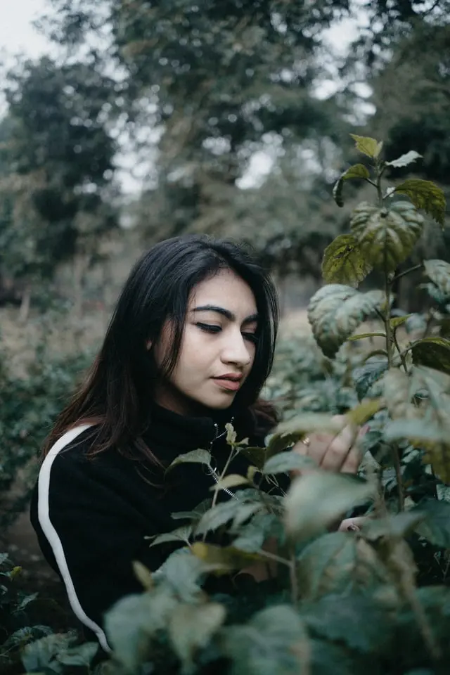 Fruit Tree