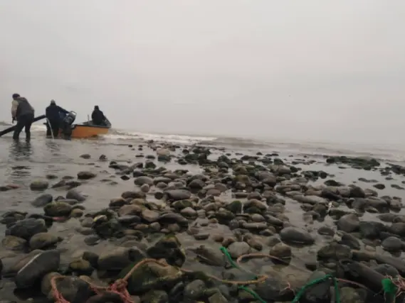 The Story of Cold Mornings and Fishermen