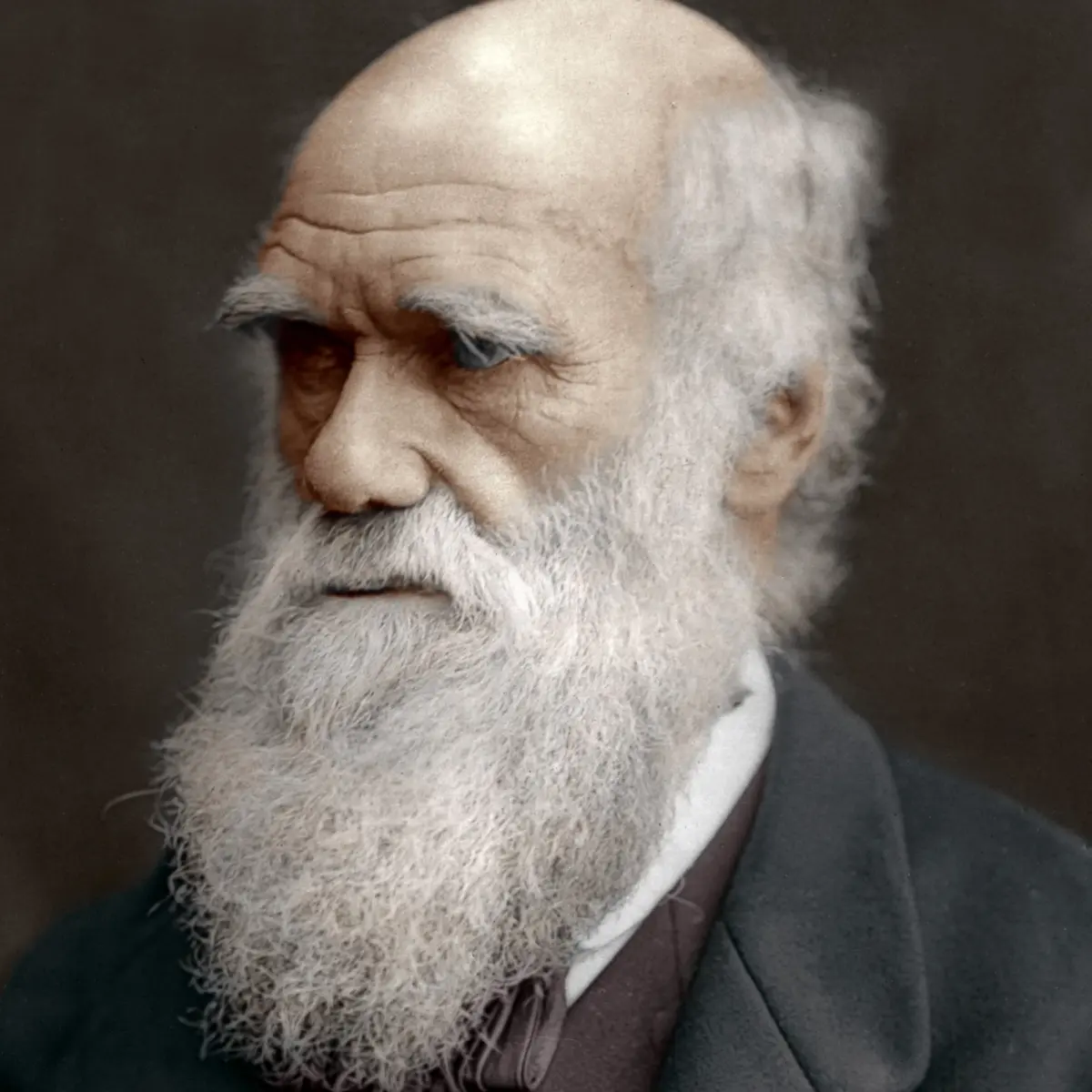 1ffab51e441f60b9d70748877bb8536365182574a6da72fa932f66daa04029b7.jpeg