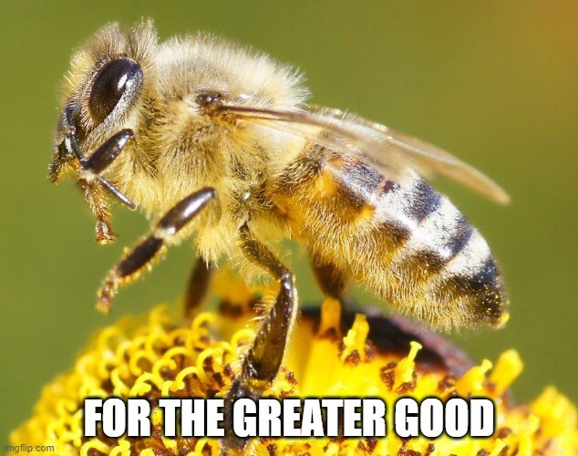save the bees