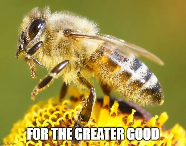 save the bees