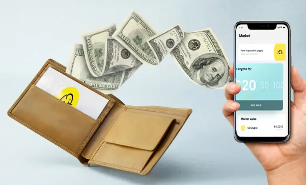 E-money Licence for Eligma