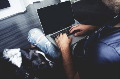 blogger