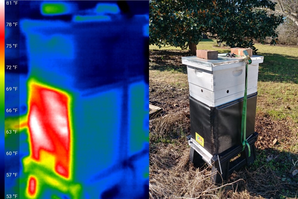 Side by side image: IR/ normal insulated hive