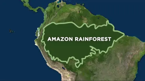 089934ed7ca03fa2052781d637fc8167191fef8b6c5e1500b852878c1365968e.png