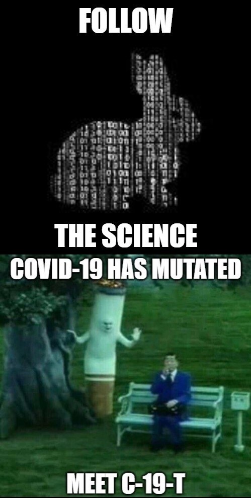 e6102a65069065c0cb878782985a1a7bbf81d2ee716d8c501d7505b3a972c7a5.jpg
