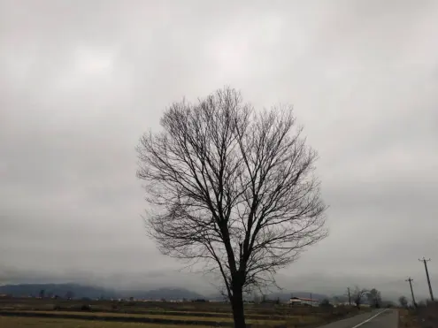 photography of nature , the story of everything