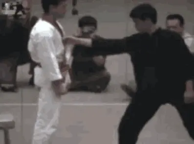 1bcc36197d9d02d20039f63d4beb93fff30f250cffe118e3a8aa66dbeffee061.gif