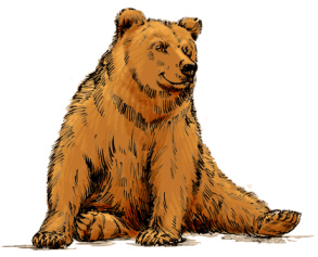 a80d4241007b3028dac2f9e5c6ca3241a0a8e1cf81781d75b29b2051985990e3.png