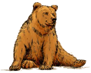 a80d4241007b3028dac2f9e5c6ca3241a0a8e1cf81781d75b29b2051985990e3.png