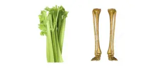 celery