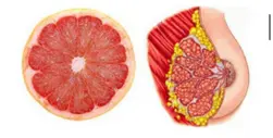 grapefruit