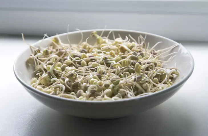 white bowl of sprouted beans