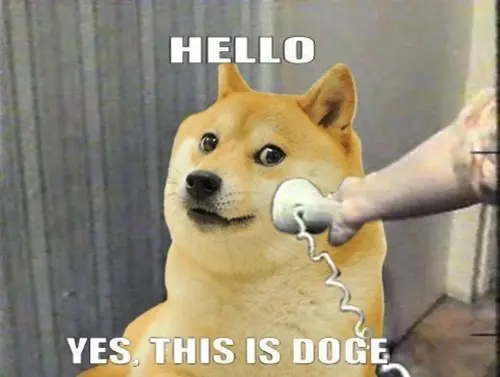 674a42e760da841bb6788cdb5200c6df9aedde00acfb5a744fbbc21ded3fe524.jpg